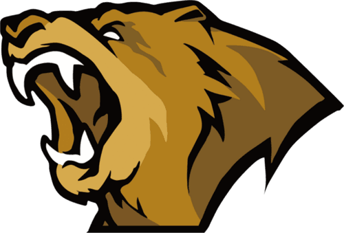 Lynn Vision logo