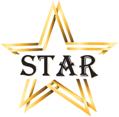 TEAM STAR logo