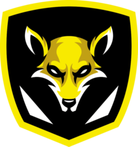 Ryze Gaming logo