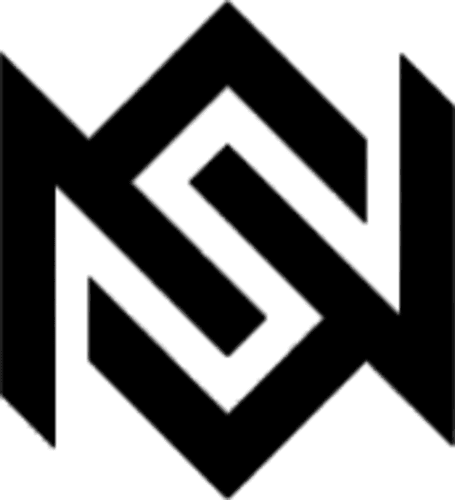 NSN logo