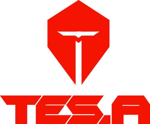 TOP Esports Armor