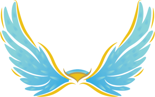NAOS Esports logo