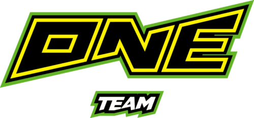 ONE Team logo