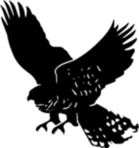 Alter Iron Club logo
