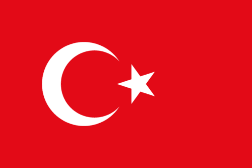 Team Türkiye logo