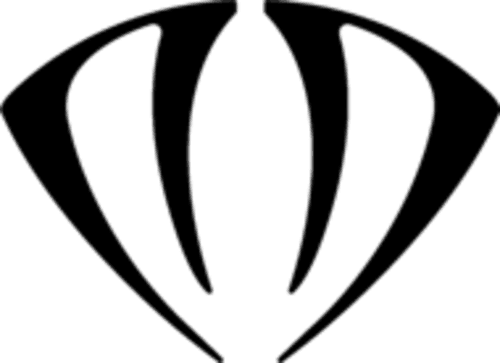 DNSTY logo