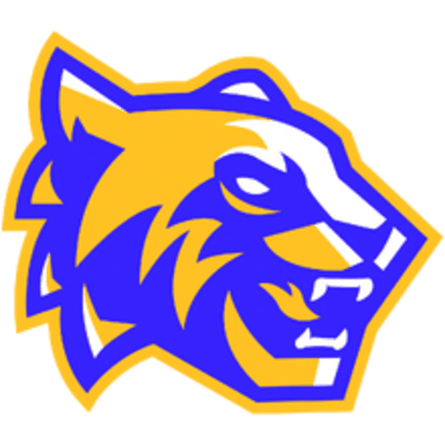 SDM Tigres