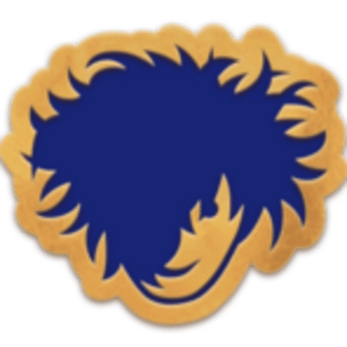 Rostik Team logo