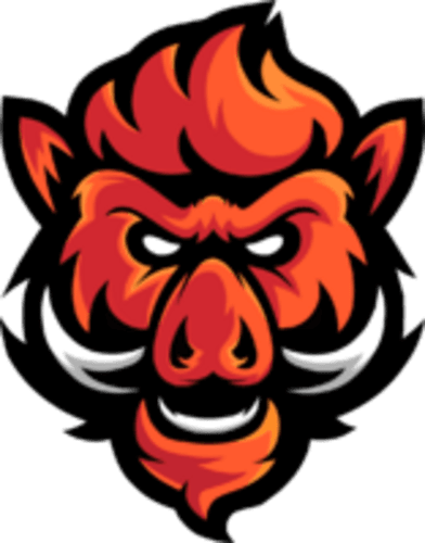 Boars Gaming