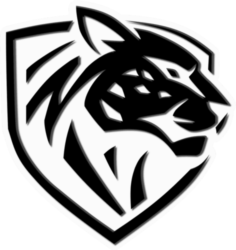 Ilbirs eSports