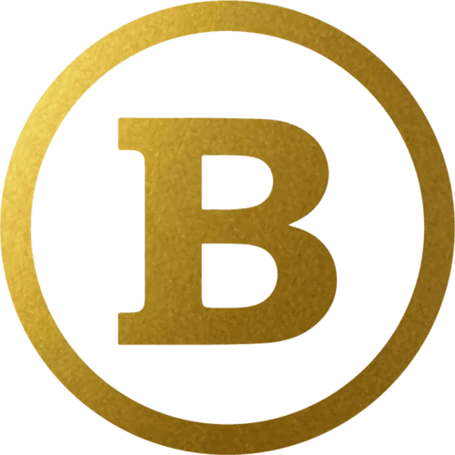 BTC Gaming logo