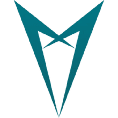 P11 Esports logo