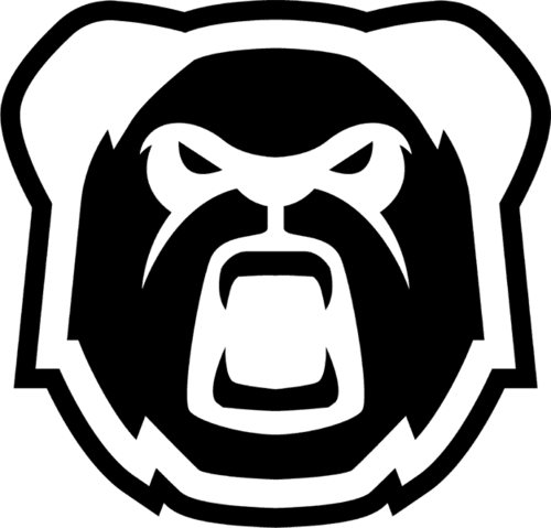 Arctic Pandas logo