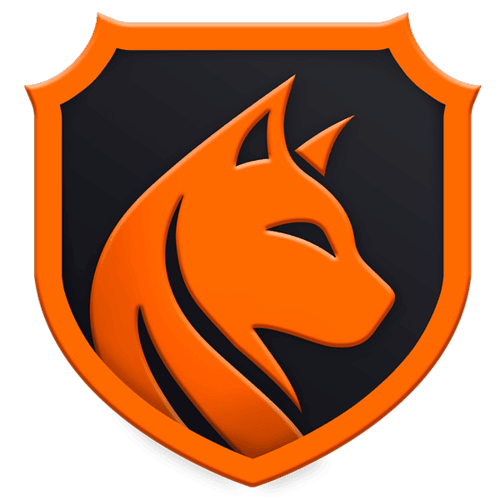 Team Vasilisa logo