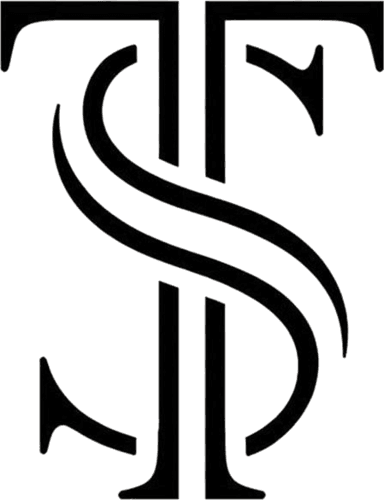 Team Stels logo