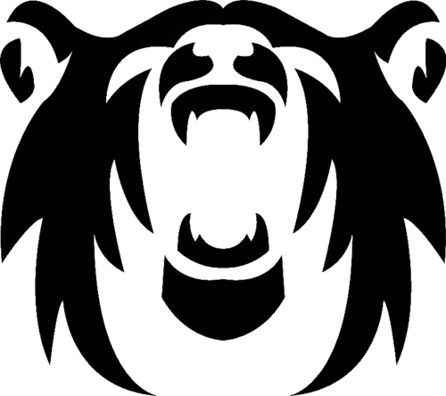 Polar Squad Esports