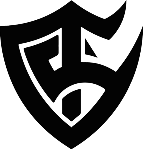 Team Solid logo