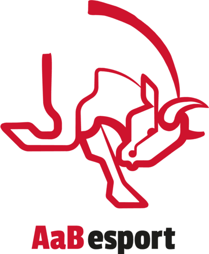 AaB Bulls
