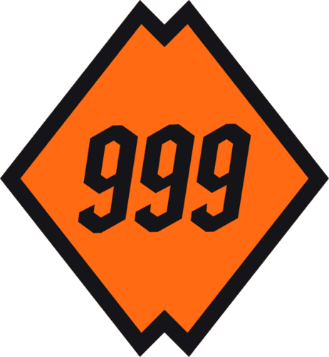 Rostik999 Club logo