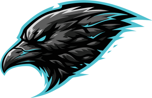 Not A Squad Esports logo