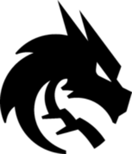 Team Spirit logo