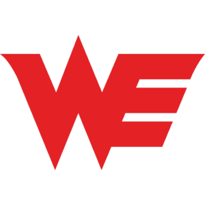 Team WE logo