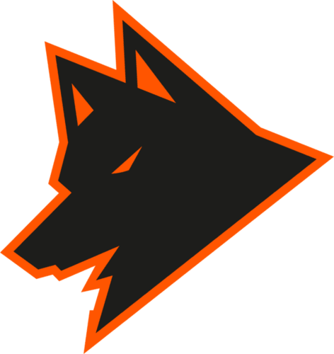 Guara Esports logo