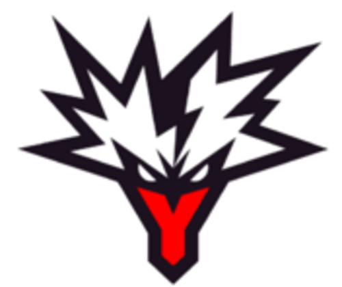Team Yandex logo